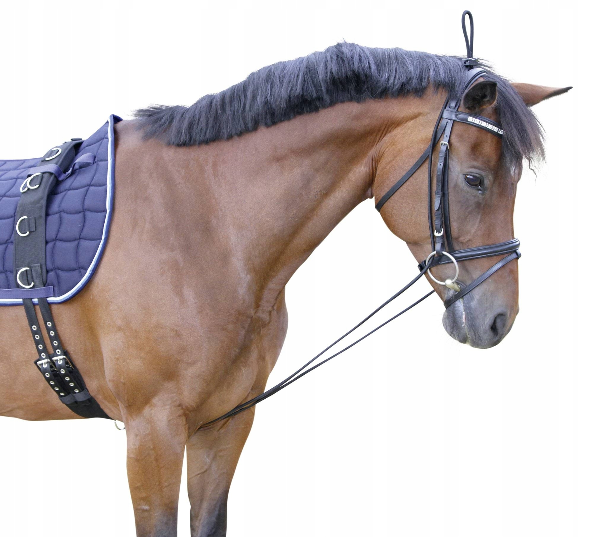 Czambon gumowy, czarny, Covalliero Marka Kerbl