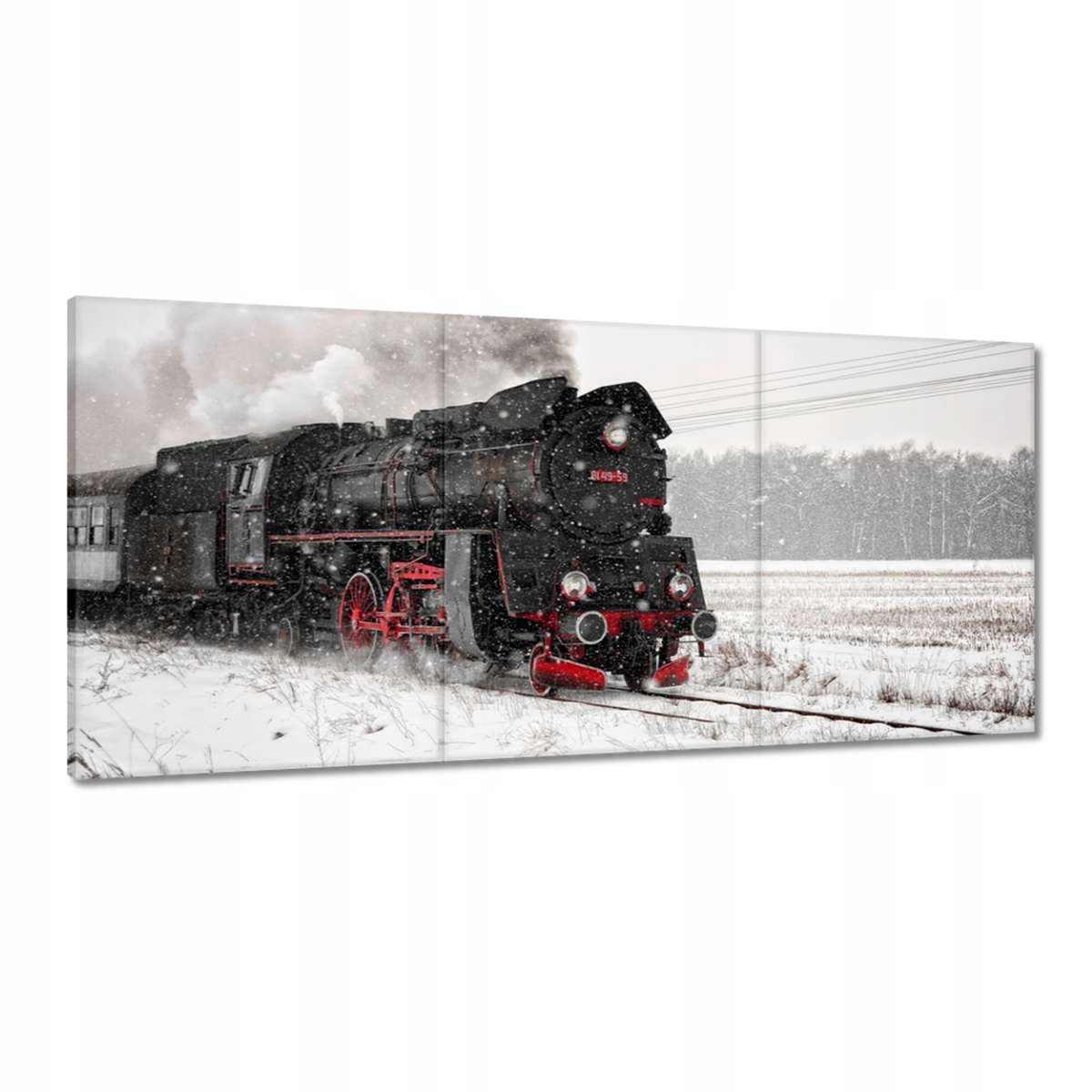 Obrazy 210x100 Lokomotíva Ol49-59 Sneh