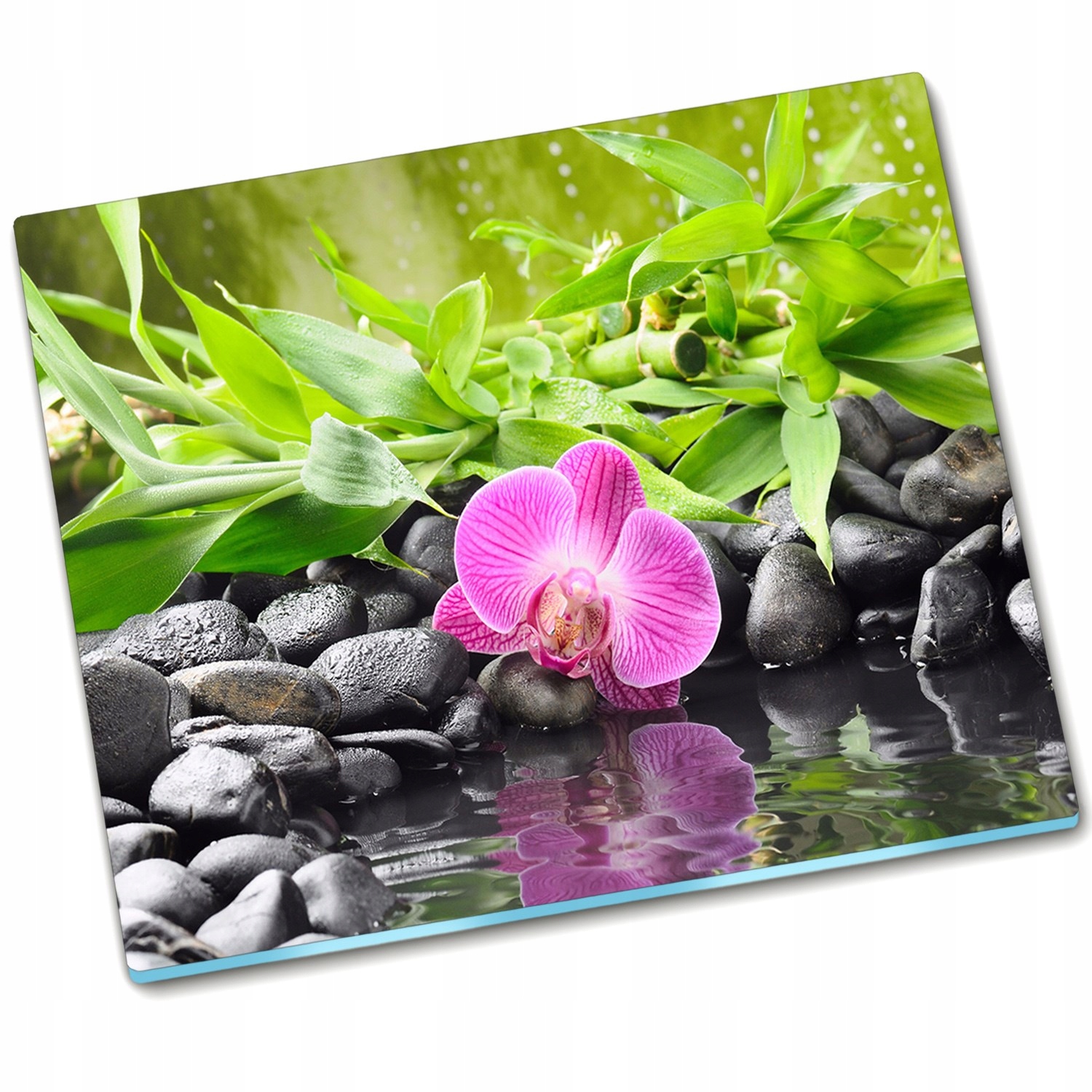 

Płyta ochronna na indukcję Orchidea i Woda - 60x52