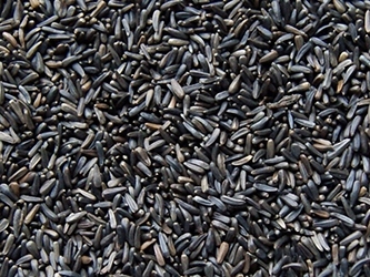 Ziarno MURZYNEK dla ptaków 500g