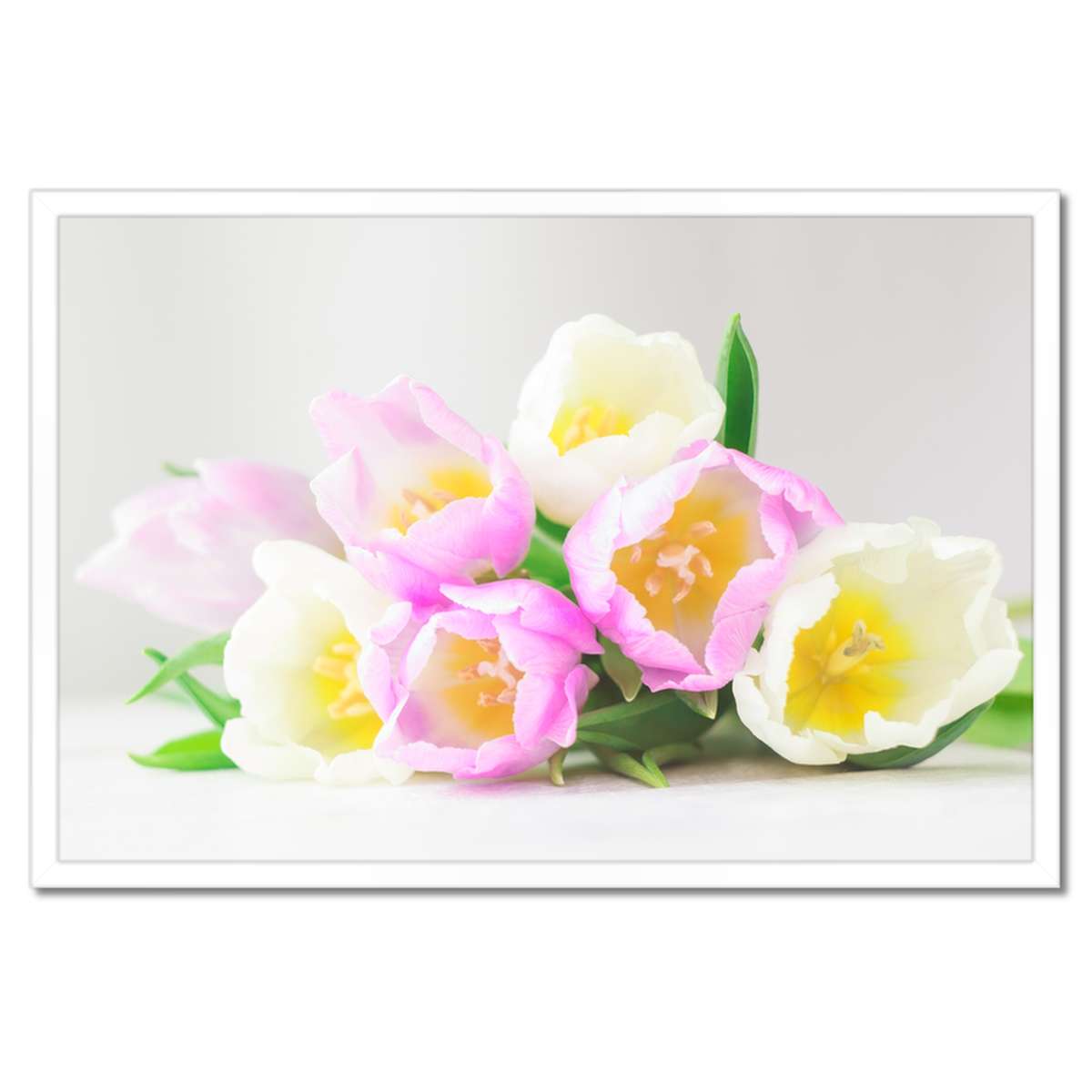 Plakáty v rámu 60x40 Jemné tulipány
