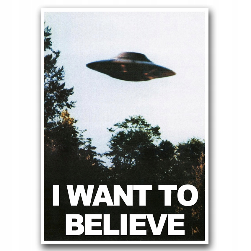 Dekor Plakat Archiwum X I want to believe A2
