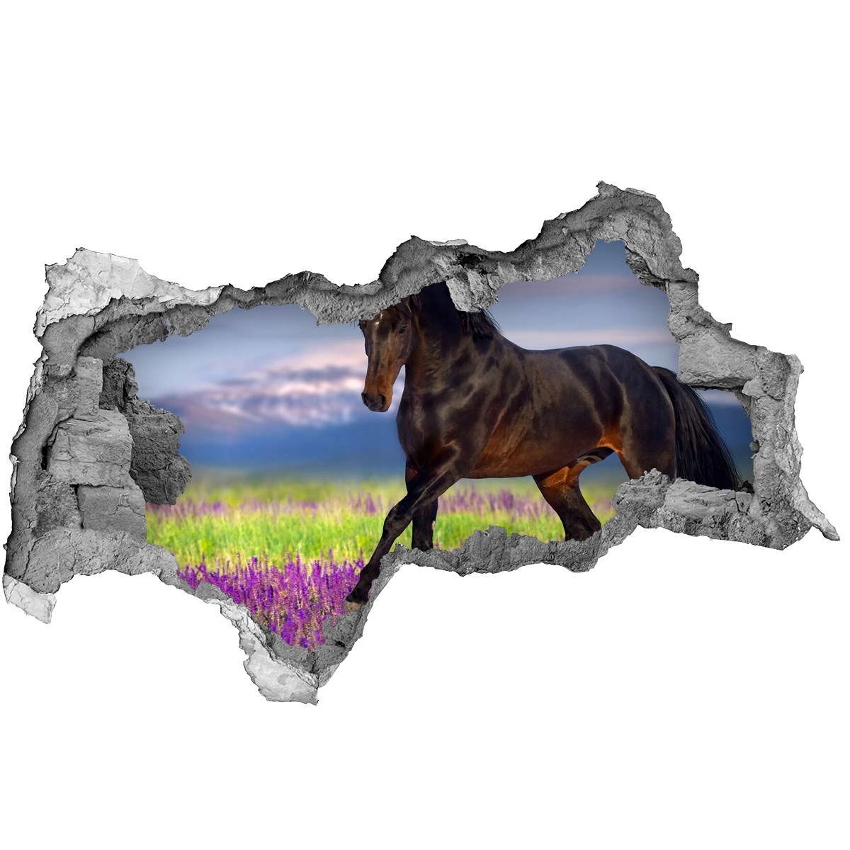 

Fototapeta dziura 3d na ścianę Koń na polu lawendy