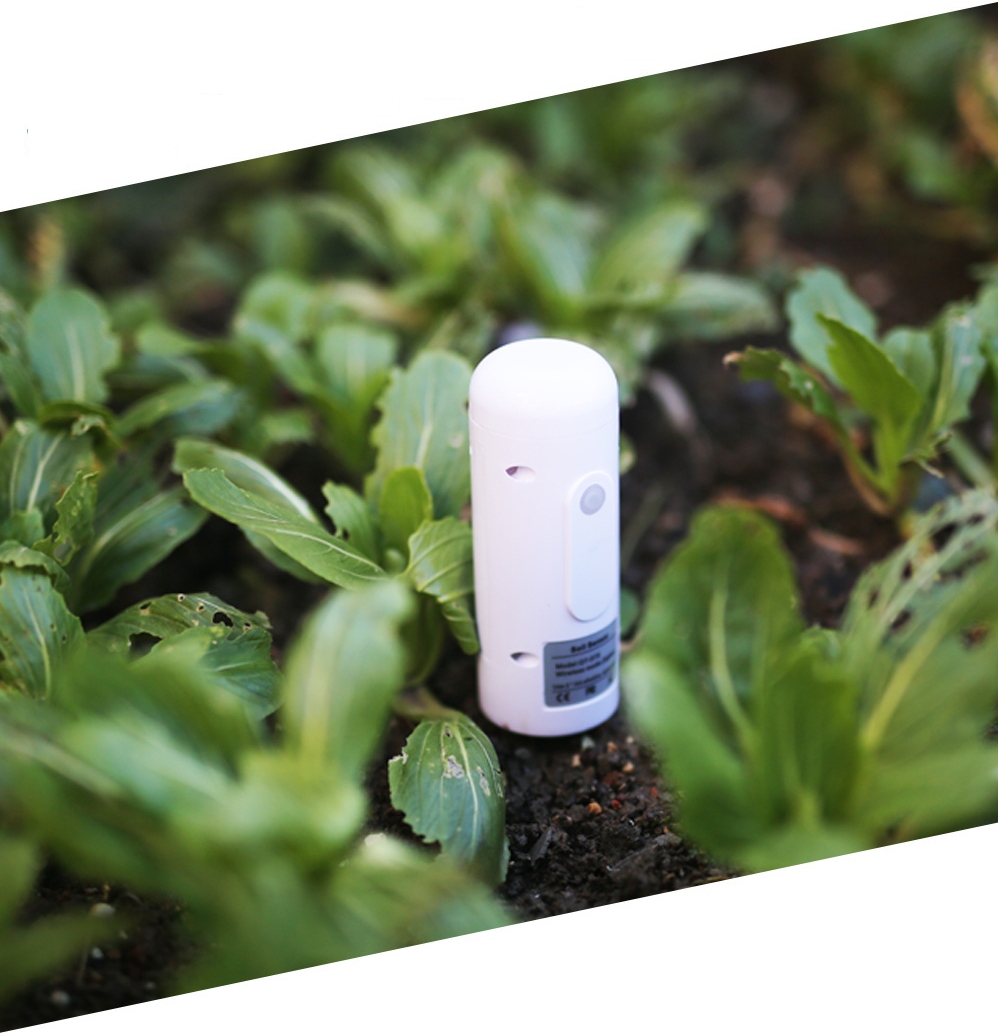 Czujnik Wilgotności Temperatury Gleby Wodoszczelny TUYA Zigbee Zigbee2MQTT Komunikacja ZigBee