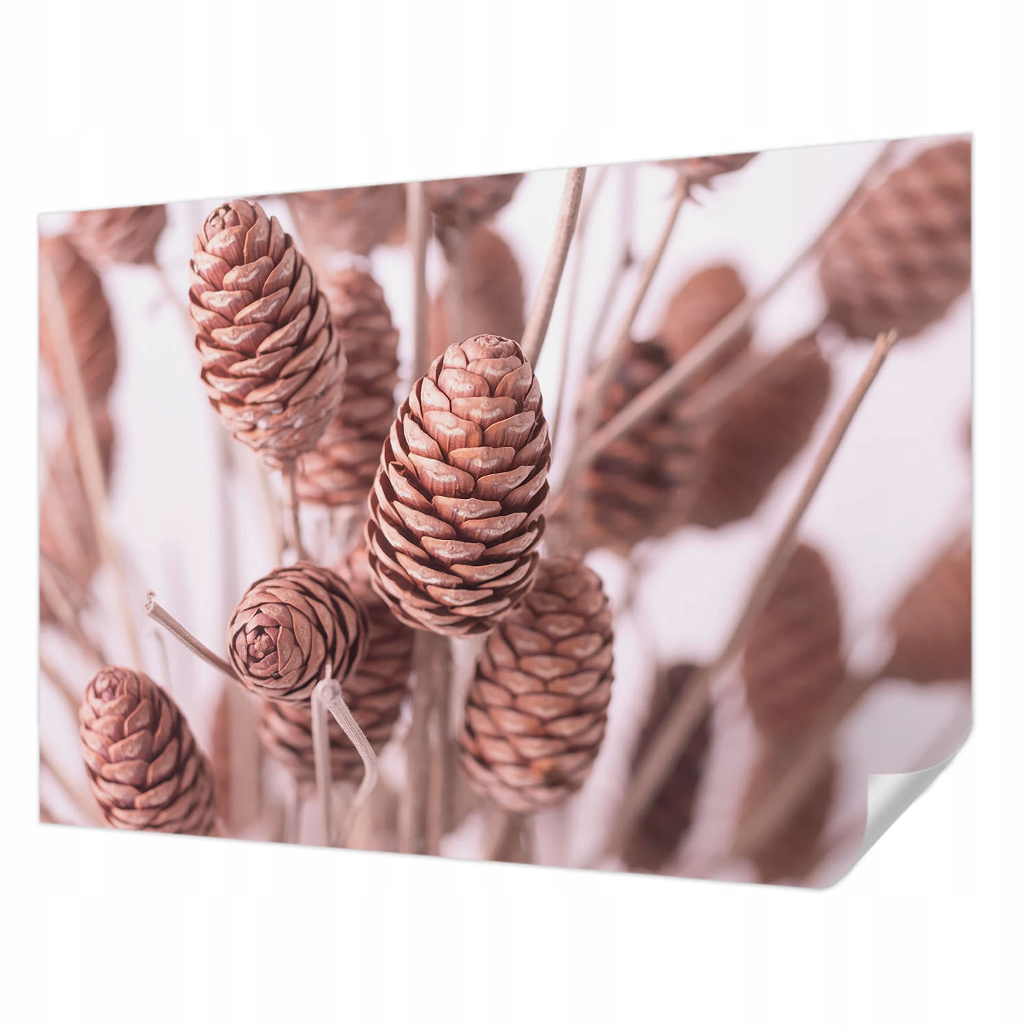 Fototapeta Samolepicí Rychlá Metamorfóza Přírodní Elegance 208x146 cm