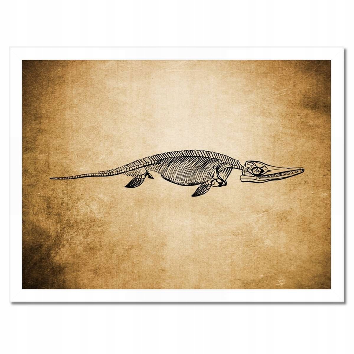 Plakáty v rámu 40x30 Dinosaurus Prehistorie Dino