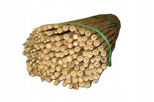 Bambusové pole pól 120cm 200ks silná podpora