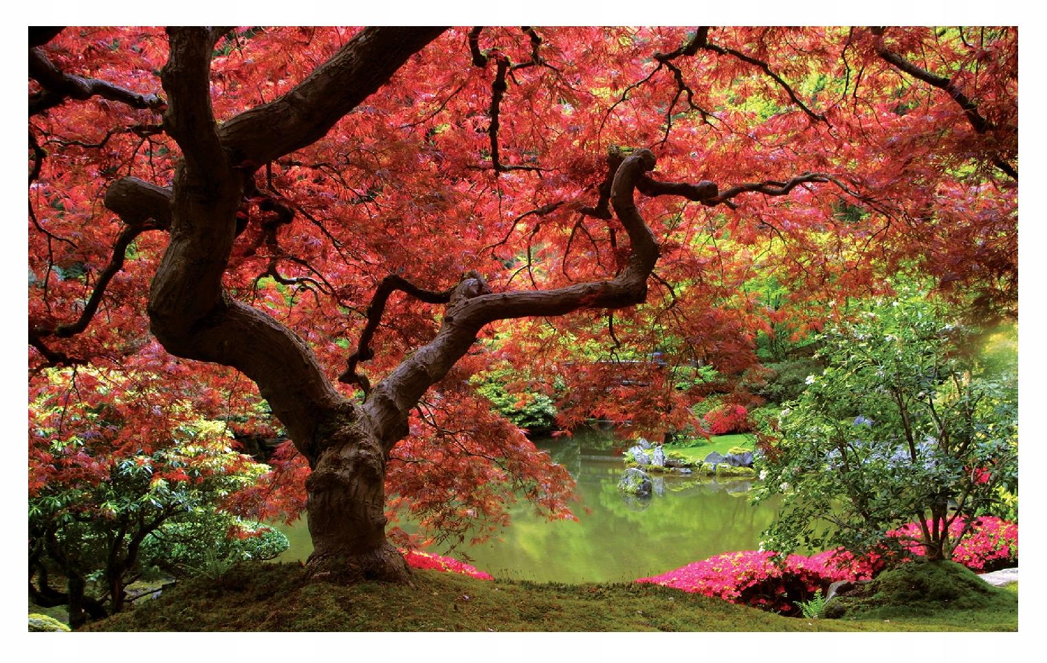 Fototapeta Japonská Zahrada 3D Příroda Strom 208x146