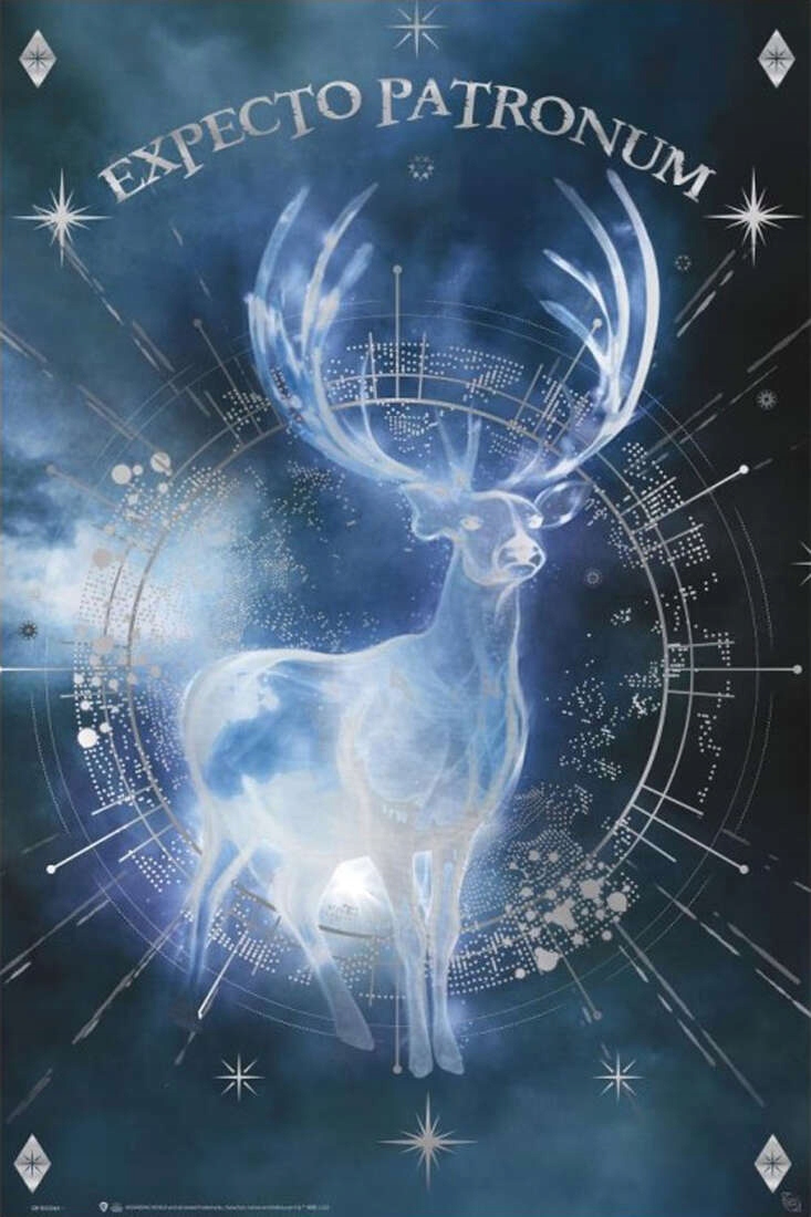 Harry Potter Expecto Patronum - plakat 61x91,5 cm