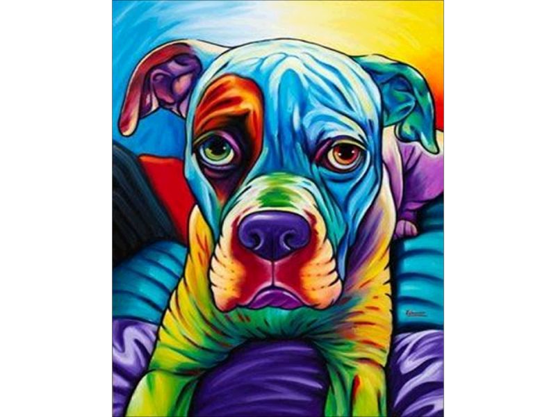 Obraz Malování Podle Čísel Rám 40x50cm Buldog Pes V Barvě
