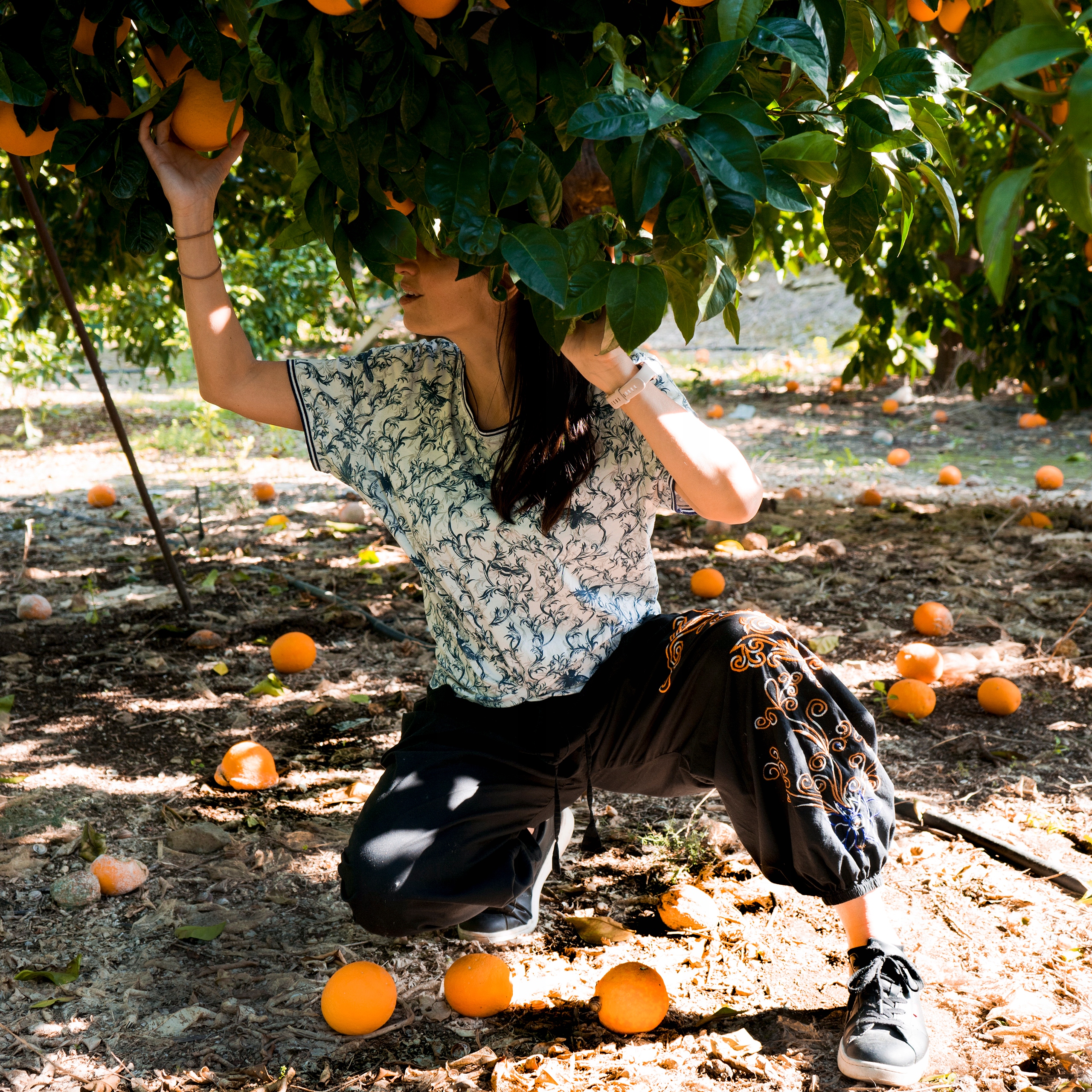 Spodnie indyjskie, pumpy haftowane Agra EAN (GTIN) 5702302133640