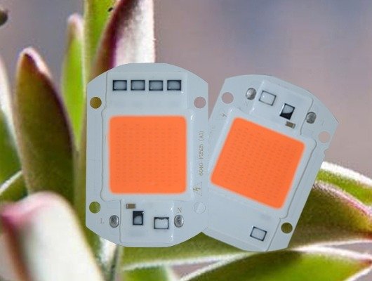 Dioda LED COB 20W - 230V -full spectrum -380-840nm Kod producenta 12227