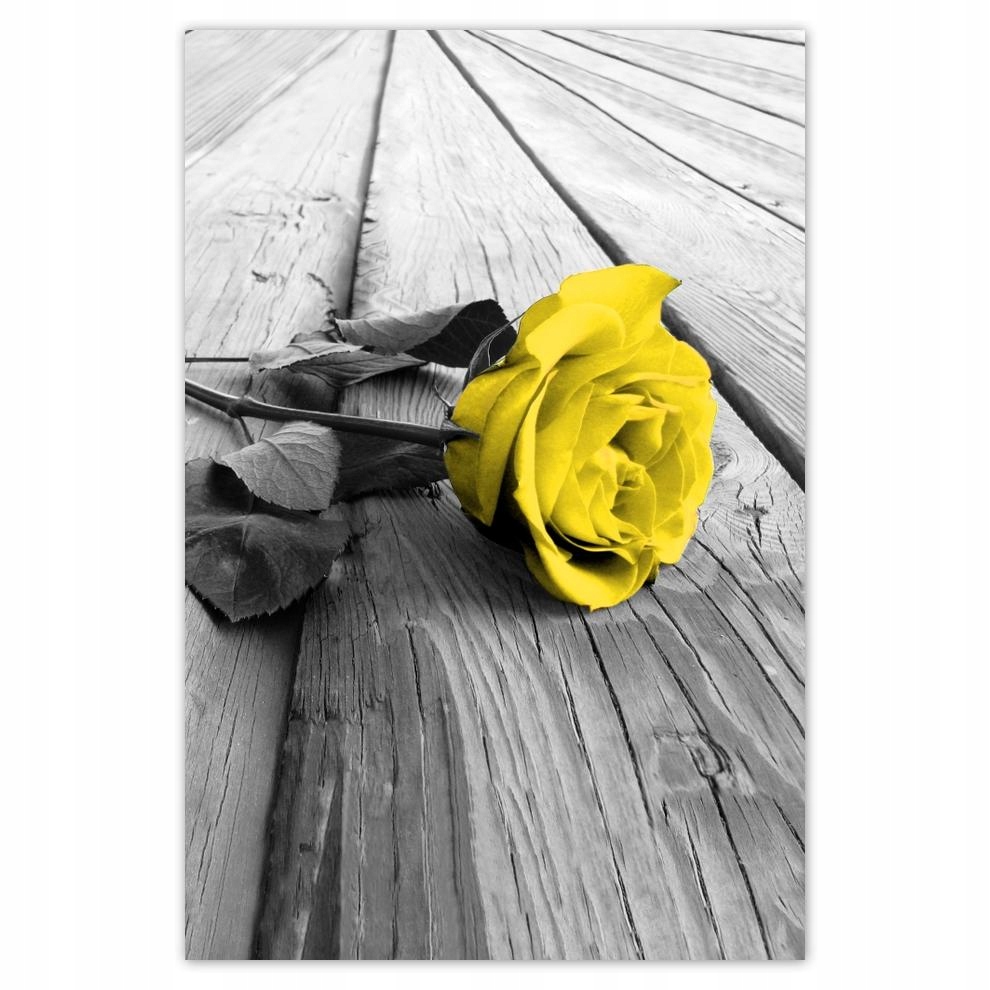 

Plakat 62x93 Żółta róża na deskach