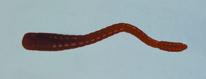 Przynęta Righetti Girino Killer 5,5cm Brown op.10szt Na Pstrągi
