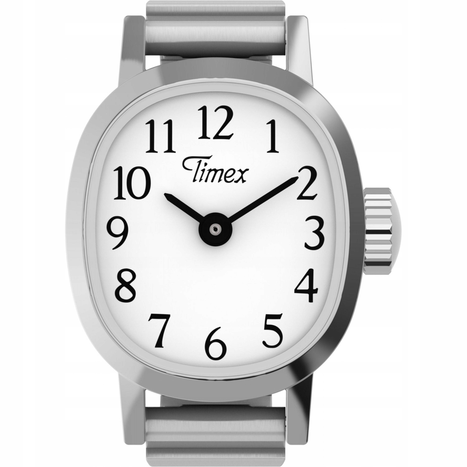 Dámské hodinky Timex TW2Y70700 stříbrné