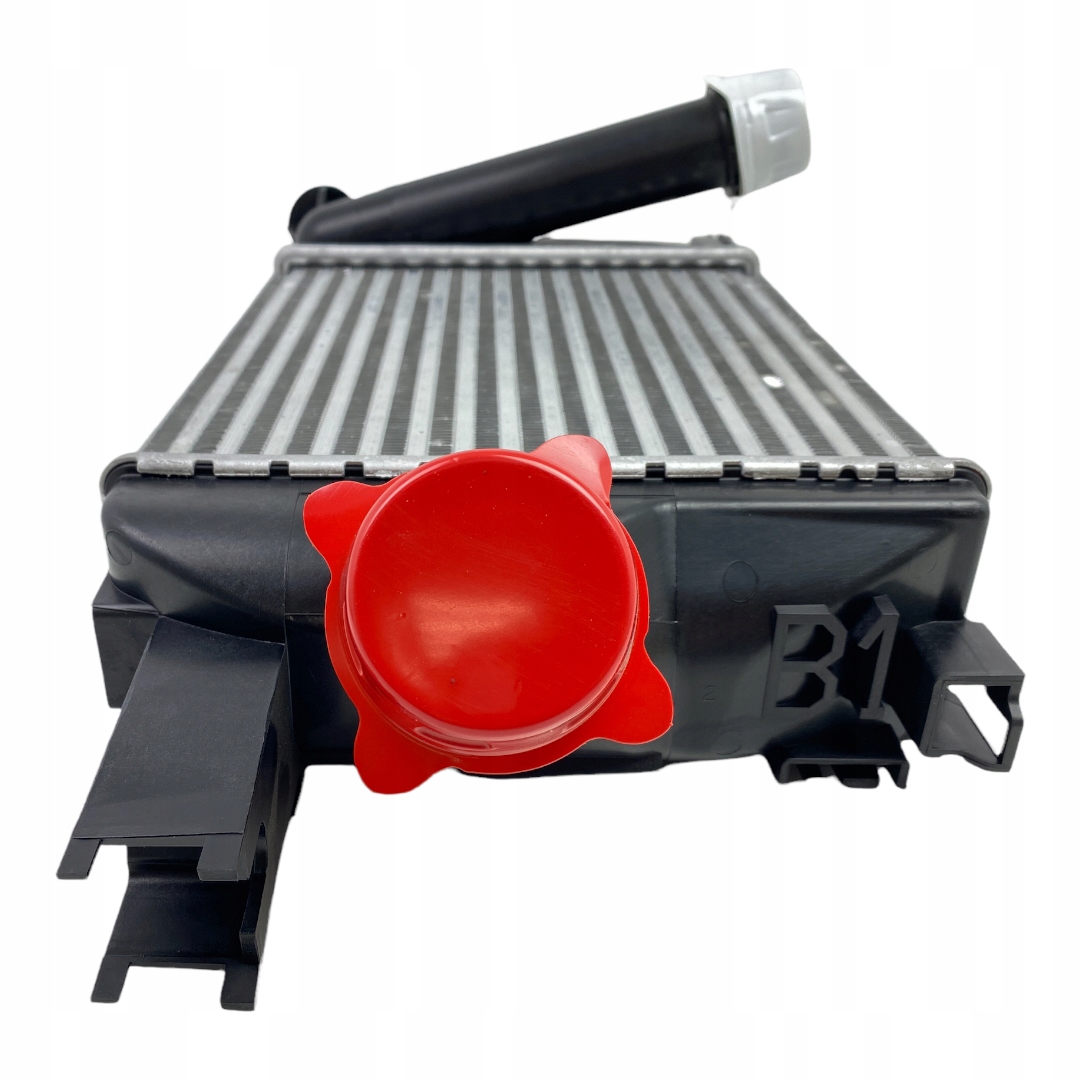 neu Kühler luft intercooler Renault Dacia