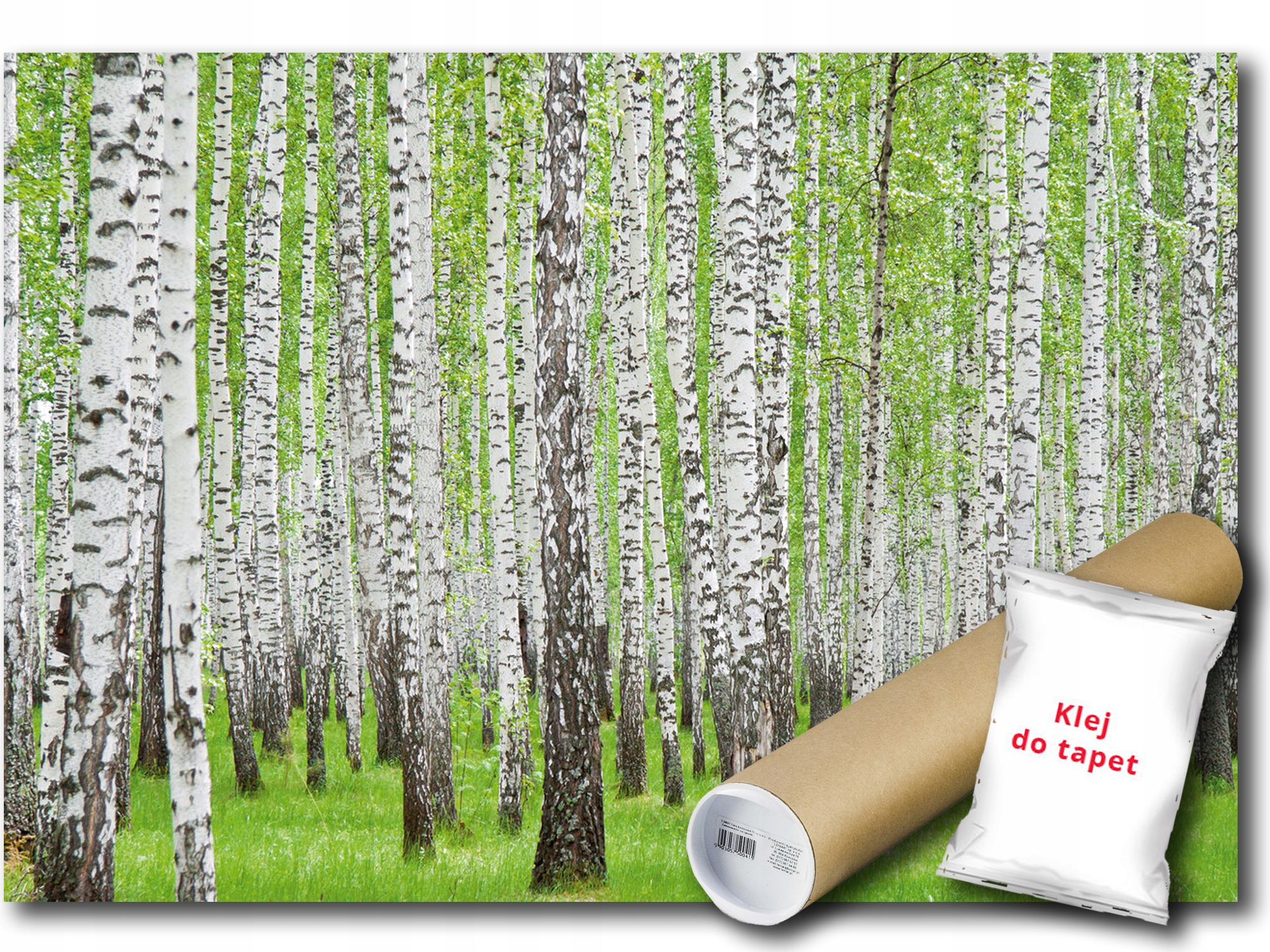 Vinylová Fototapeta Les Stromy Brezy Zelená Výhľad Príroda 416x254