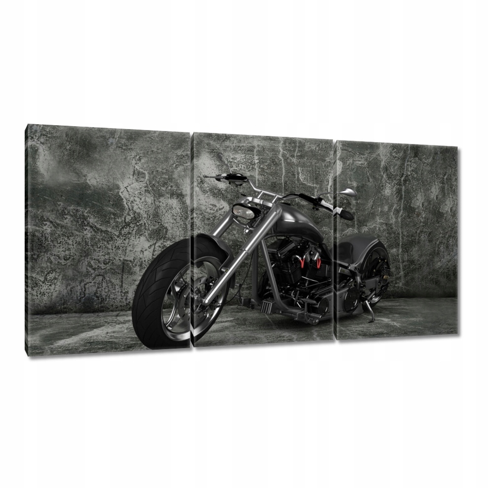 

Obrazy 120x60 Chopper
