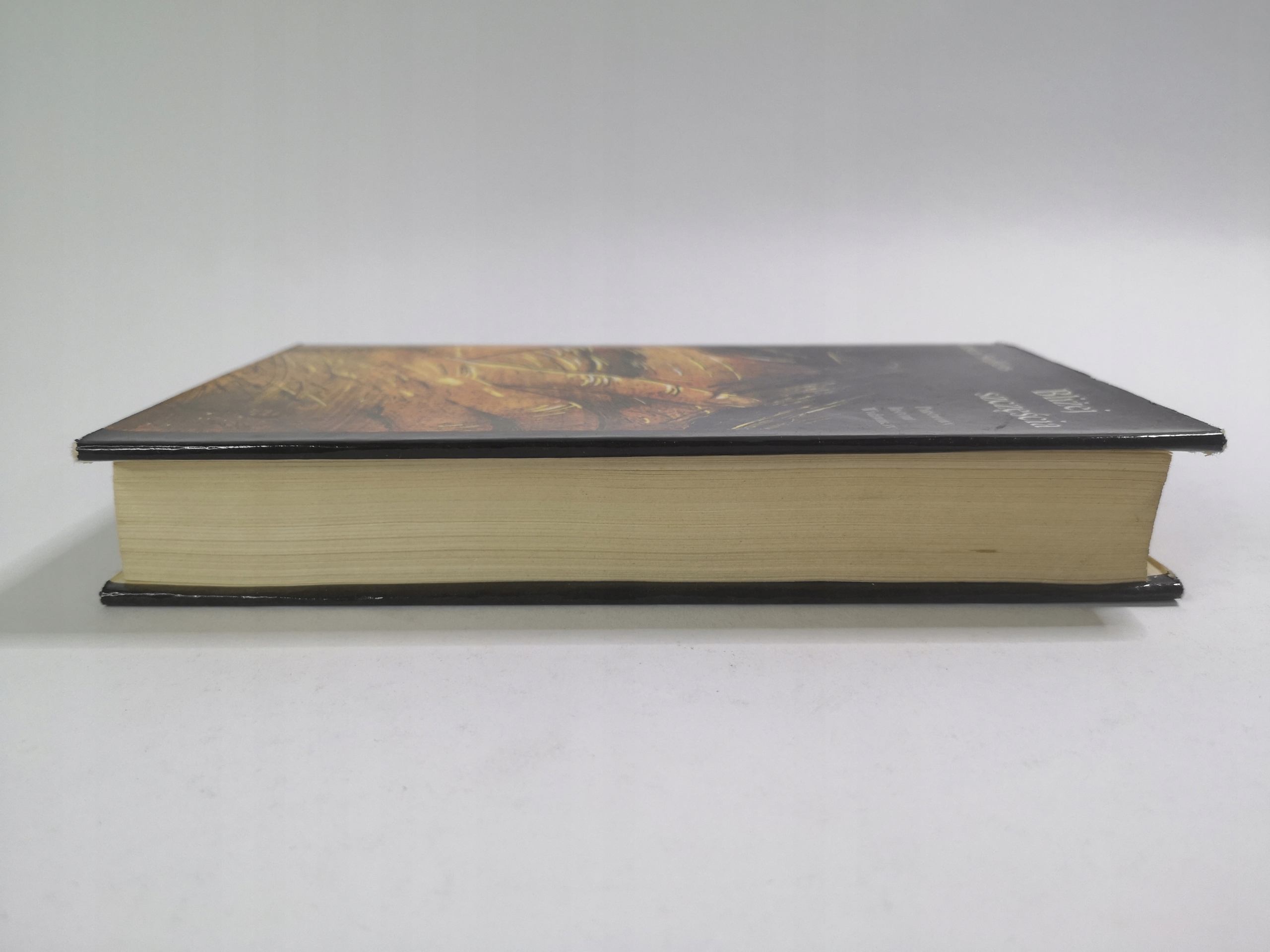 BLIŻEJ SZCZĘŚCIA GUNTER STEFFENS Nośnik książka papierowa