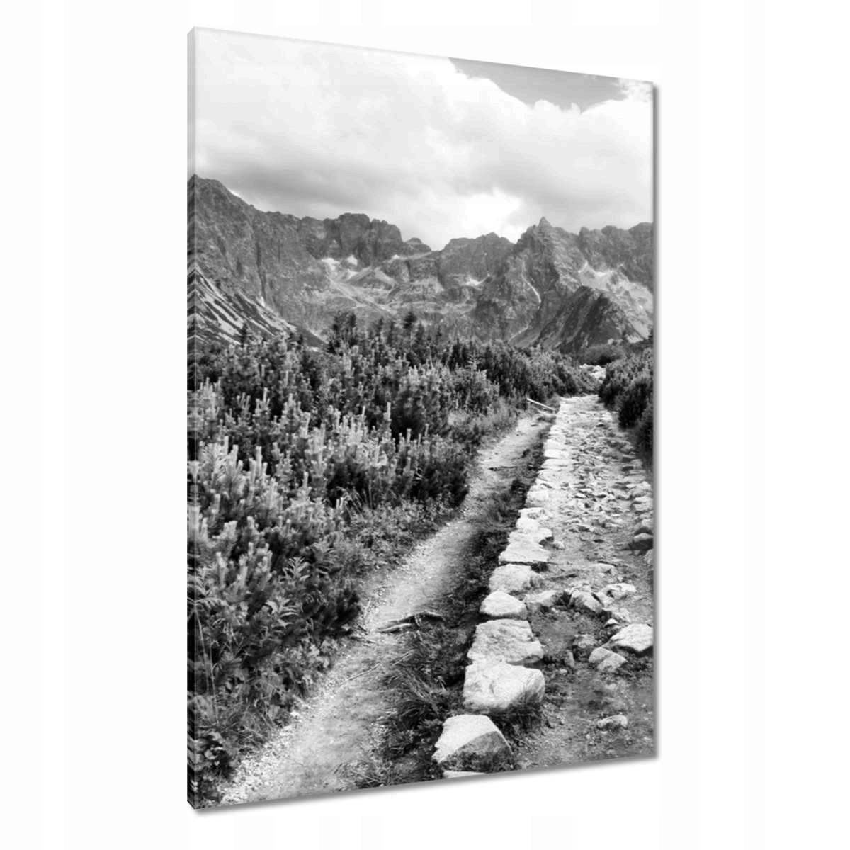 Obrazy 70x100 Tatry Polské hory Pohled