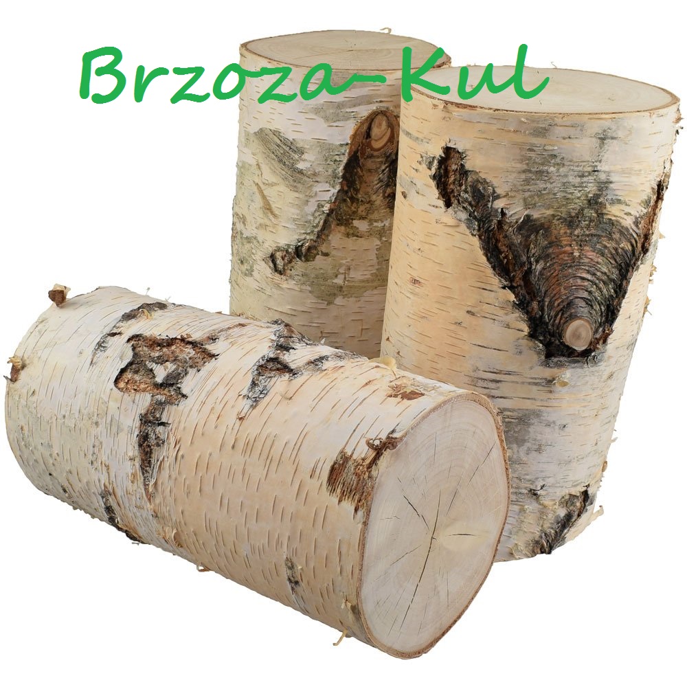 

Pień brzozy stolik, siedzisko itp natura 40x20cm