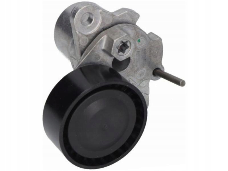 Шаффлер INA 534 0510 10 Натяжітель РЕМЕНЯ ПОЛІКЛИНОВОГО багаторізна