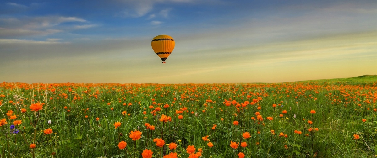 

Tapeta flizelinowa Łąka Balon 250x104