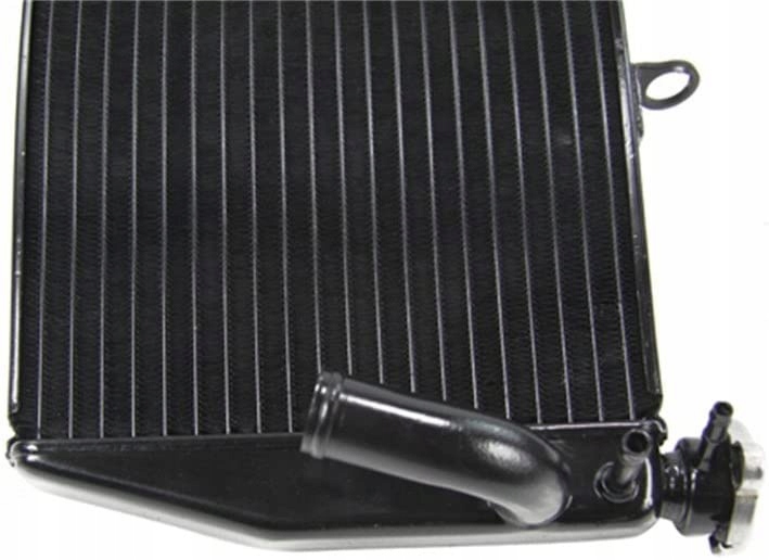 CHŁODNICA HONDA CBR 954RR 2002-2003 Producent inny