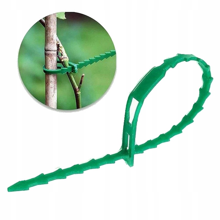 100X TYCZKA BAMBUSOWA - PODPORA DO ROŚLIN KWIATÓW- 60CM 8-10MM + 100 SPINEK Materiał wykonania bambus