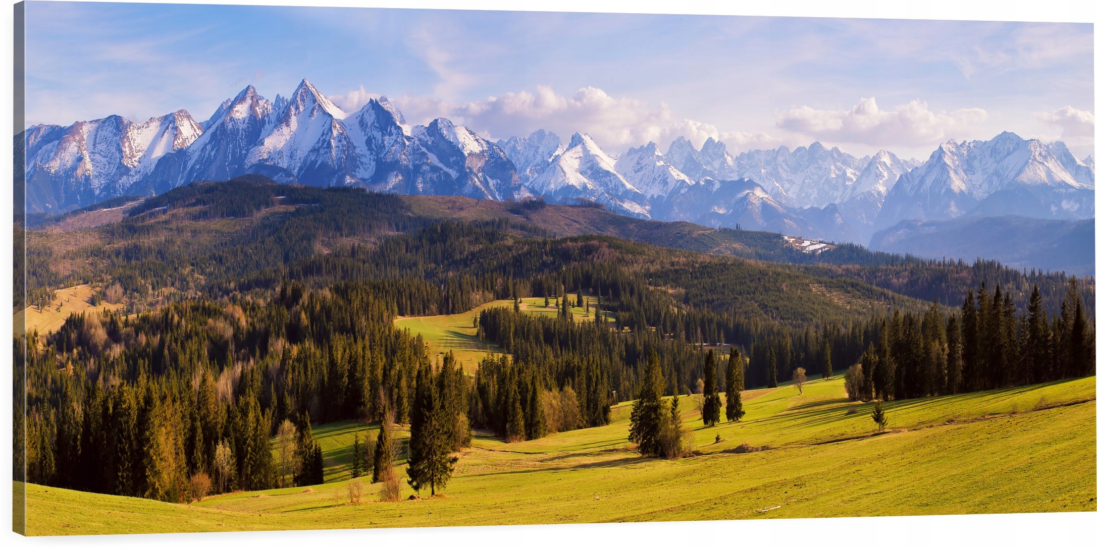 

Obraz panorama tatry góry las krajobraz 150x50
