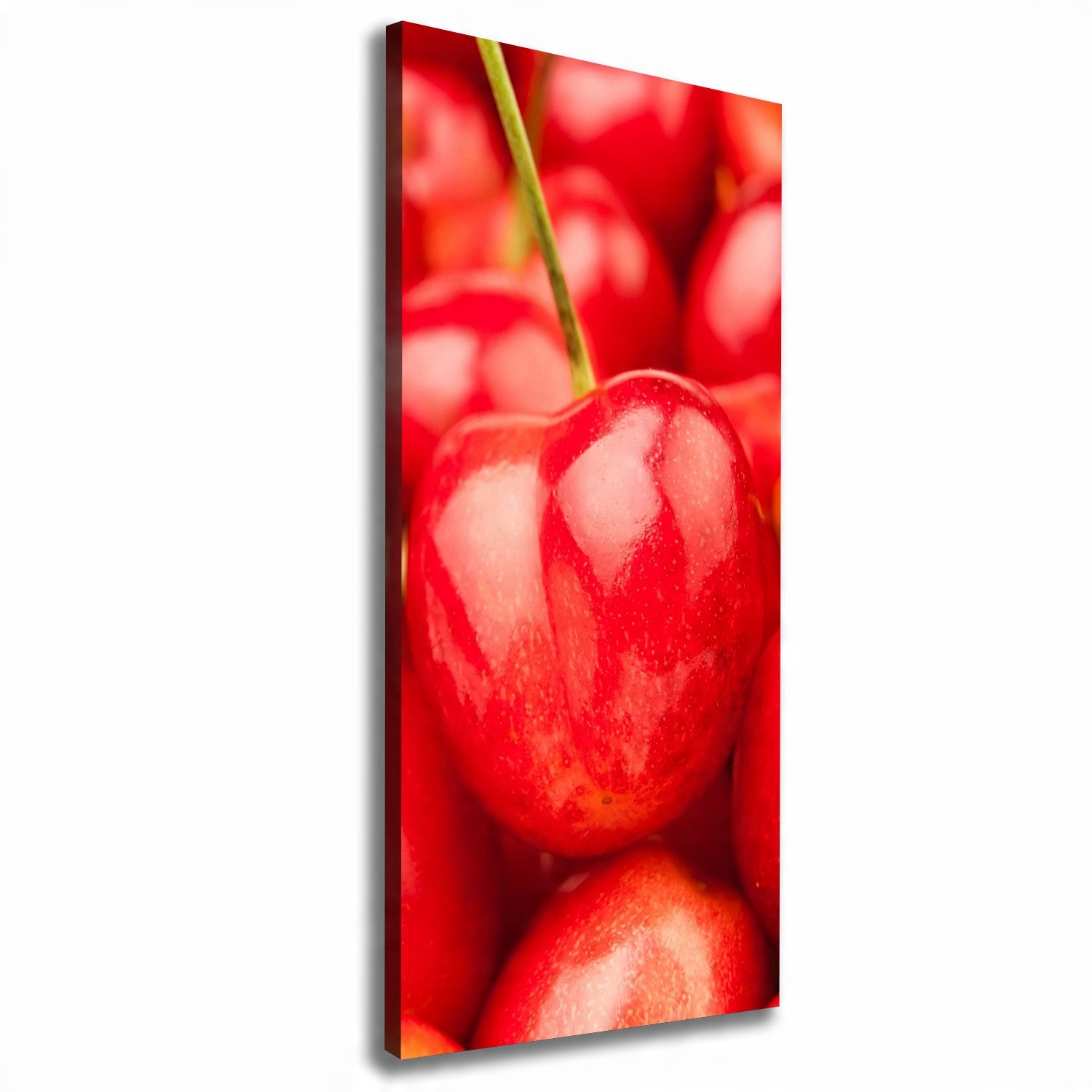

Nowoczesny fotoobraz canvas na ramie Wiśnie 50x125