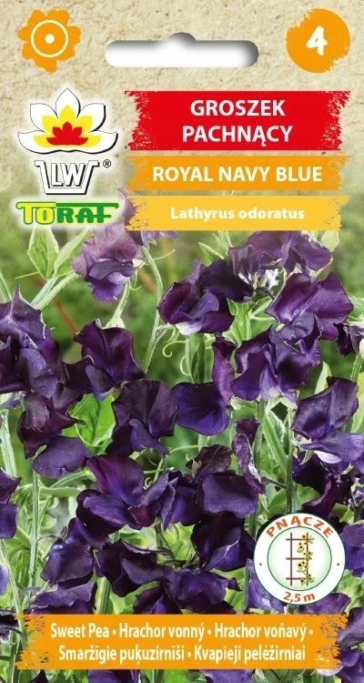 Hrášok voňavý Royal Navy Blue semená 1g VYSOKÁ POPRASKANÁ TMAVO MODRÁ KVETY