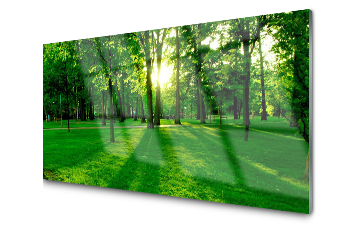 

Panel szklany dekor Płytka Las Park 120x60 + Klej