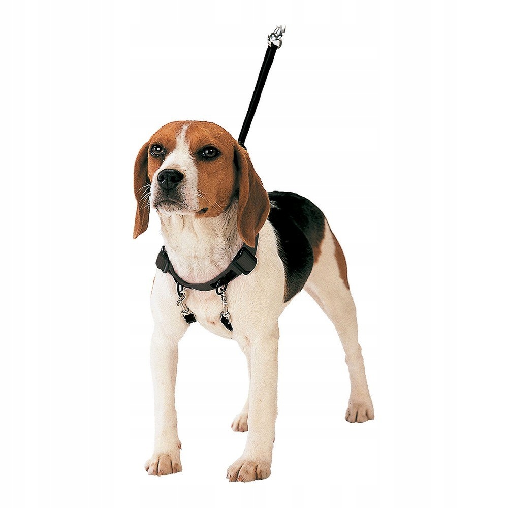 Levně Postroj pro psa Gloria 30-42 cm Velikost M