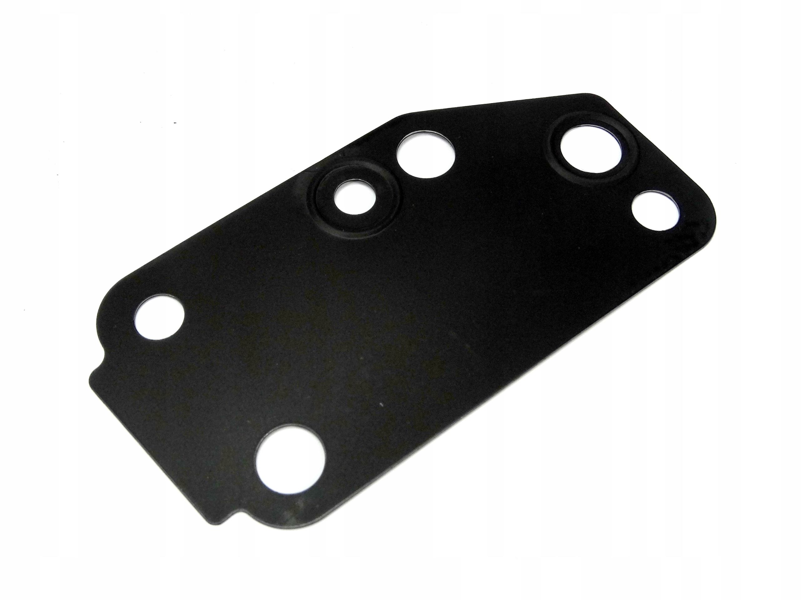 

Uszczelka Pompy Wody Ford Transit 2000-2014 2.4D