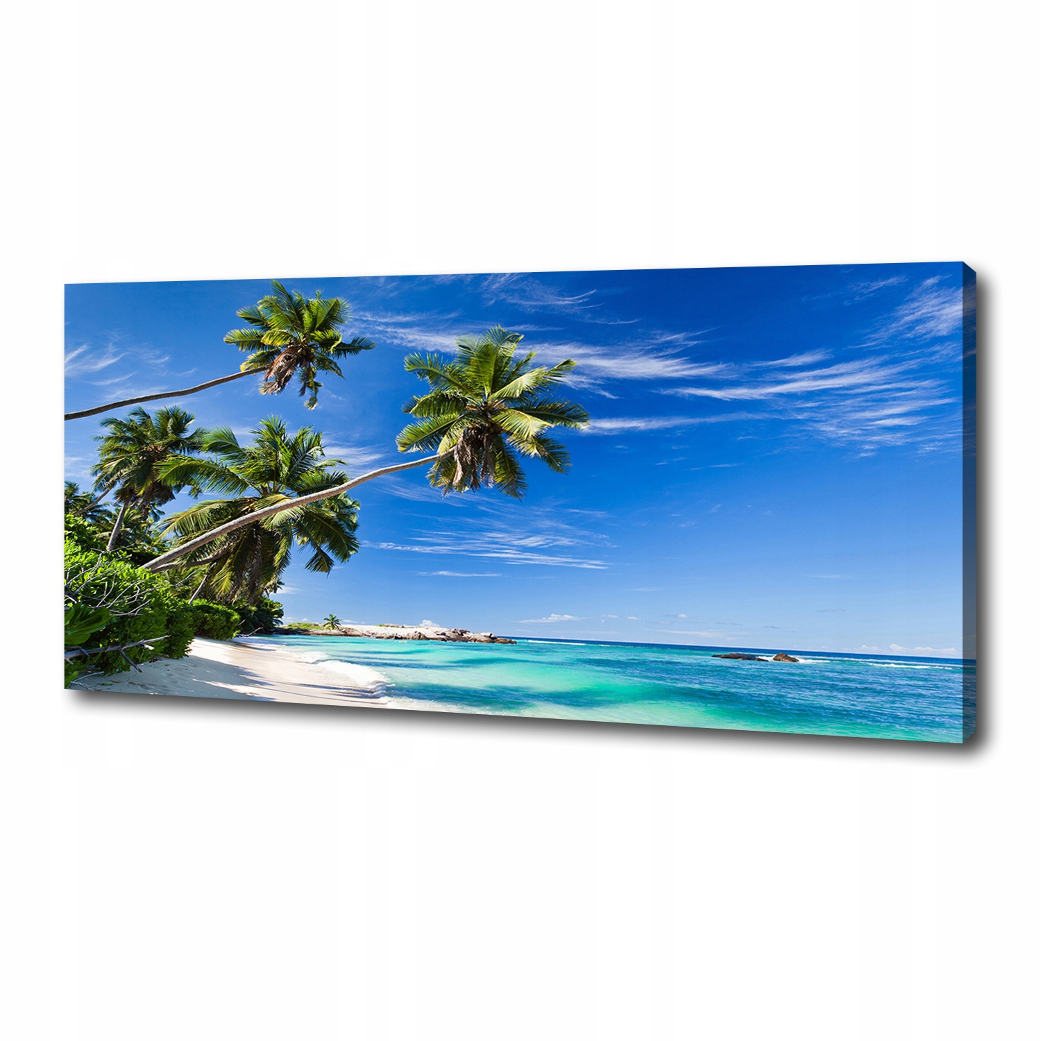 

Foto obraz na płótnie Tropikalna plaża 125x50 cm