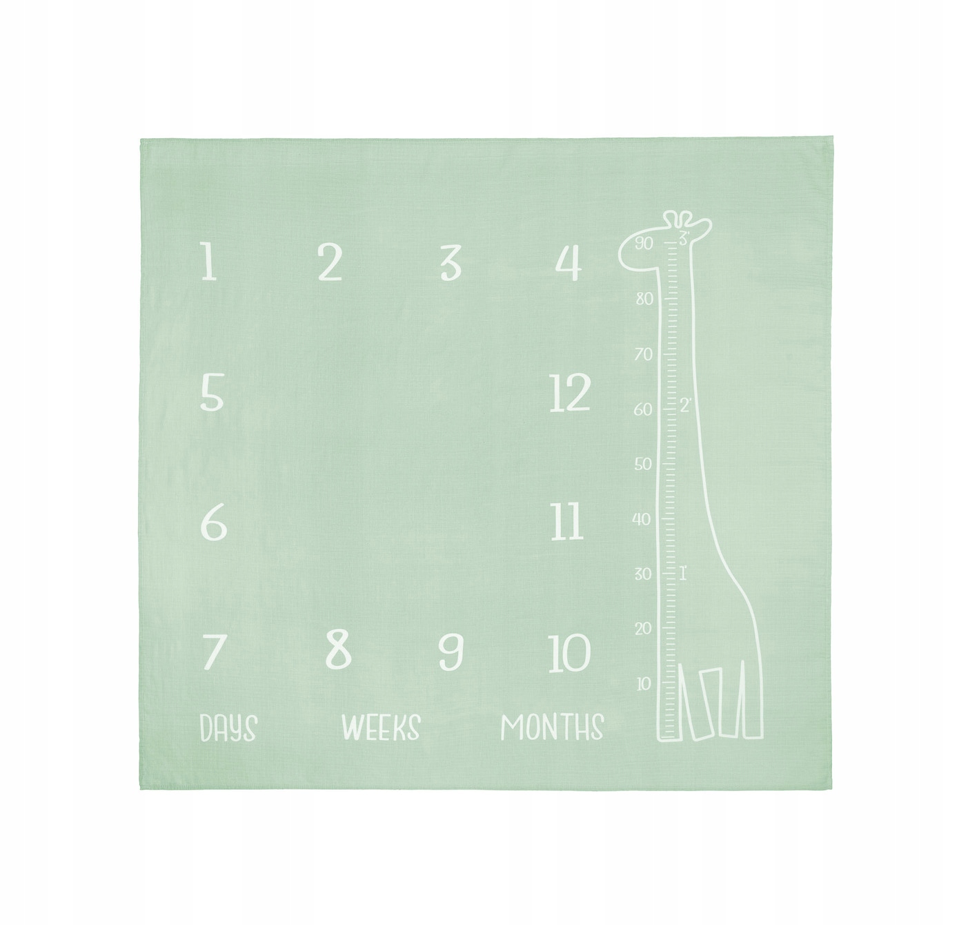 MATA KARTA DO ZDJĘĆ PIERWSZY ROK ŻYCIA FOTOMATA Z MIESIĄCAMI TŁO KOCYK