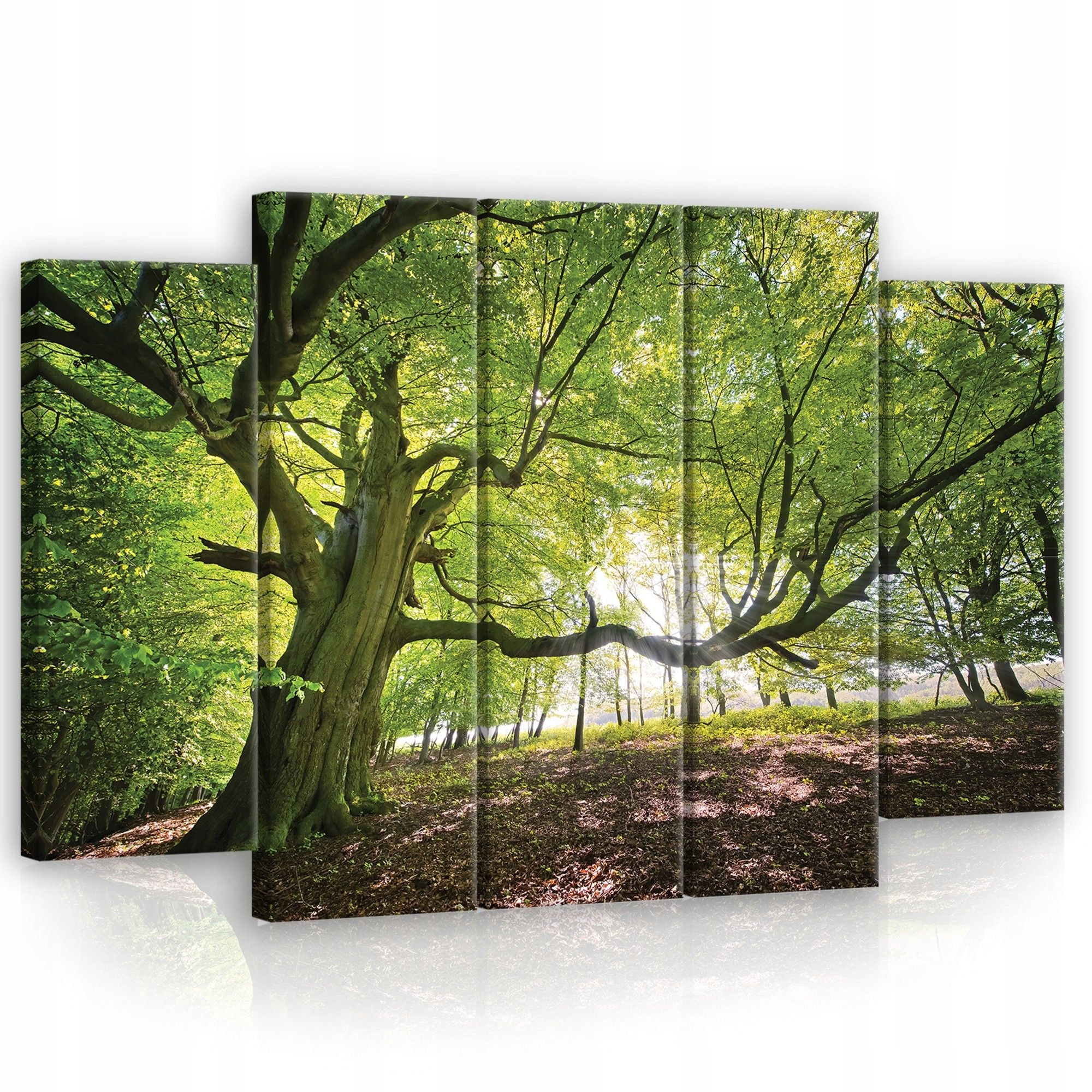 Obraz 150x100 Les strom sluneční paprsky příroda klid harmonie zeleň