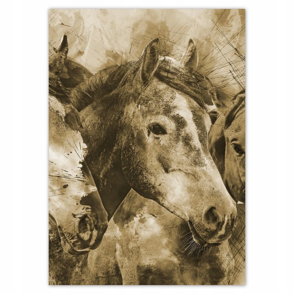 

Naklejki 50x70 Głowy końskie Łby koni