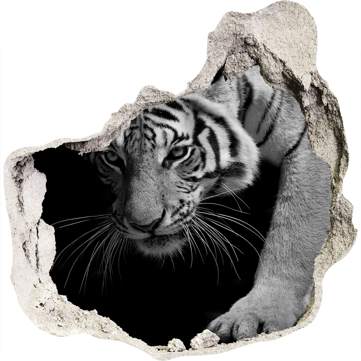 

Dziura 3d foto tapeta Naklejka Tygrys 75x75