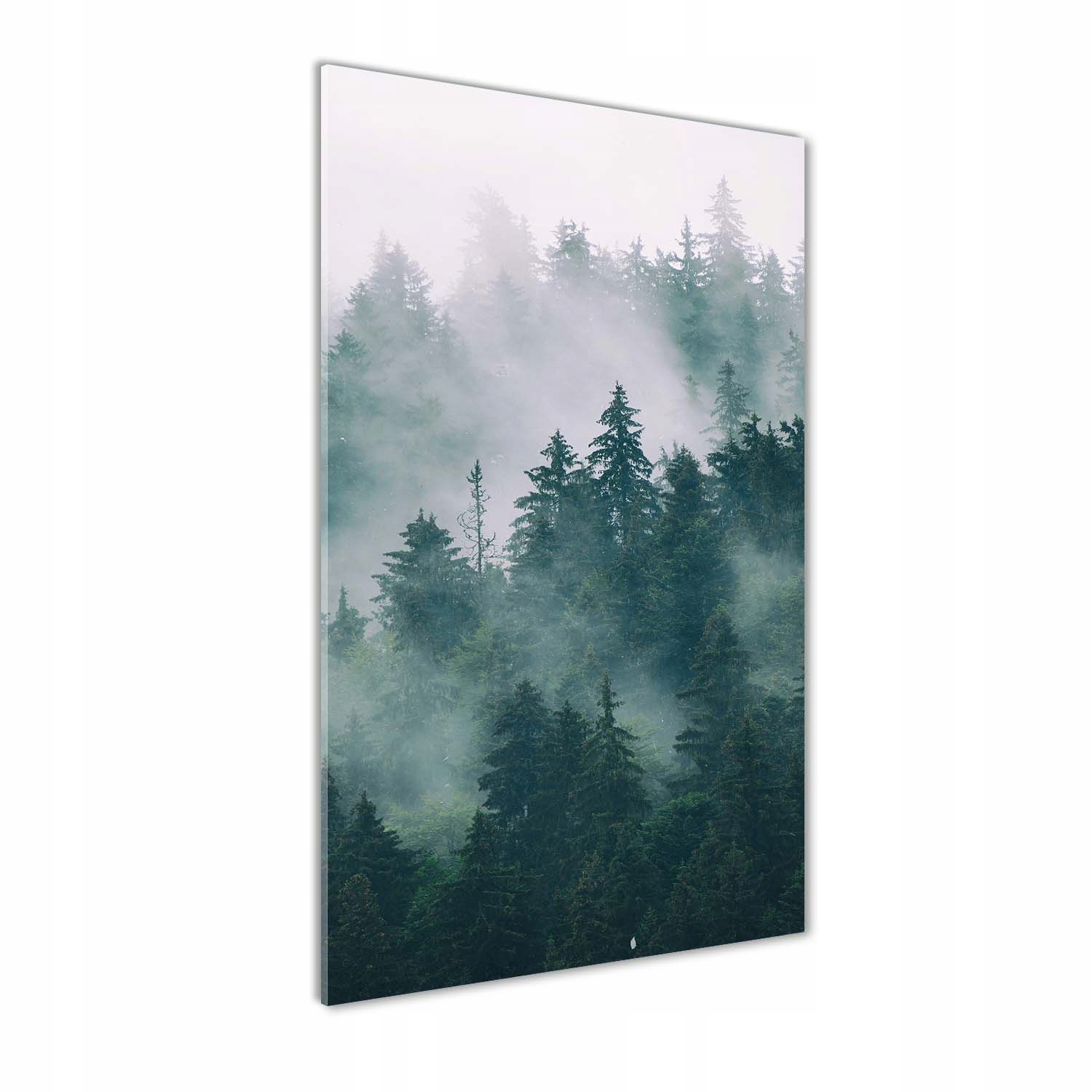

Foto obraz akryl do salonu Mgła nad lasem 50x100cm