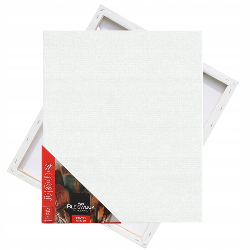 PODOBRAZIE MALARSKIE PŁÓTNO 30x40cm BLEJTRAM