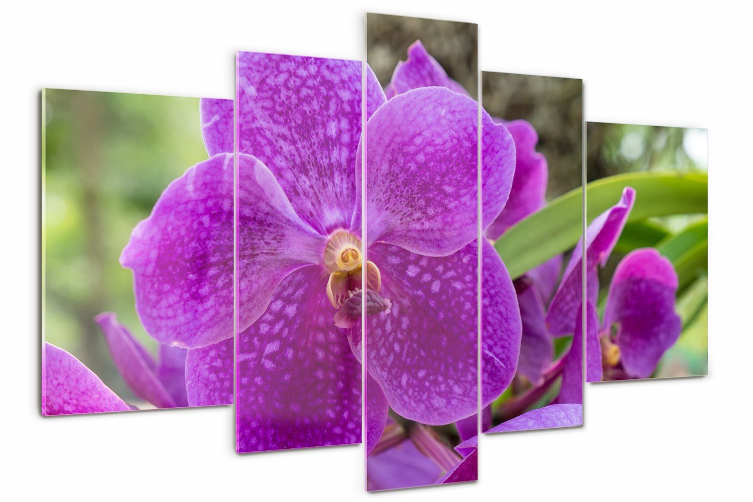 

Foto Obraz szklany duży tryptyk Orchidea kwiaty