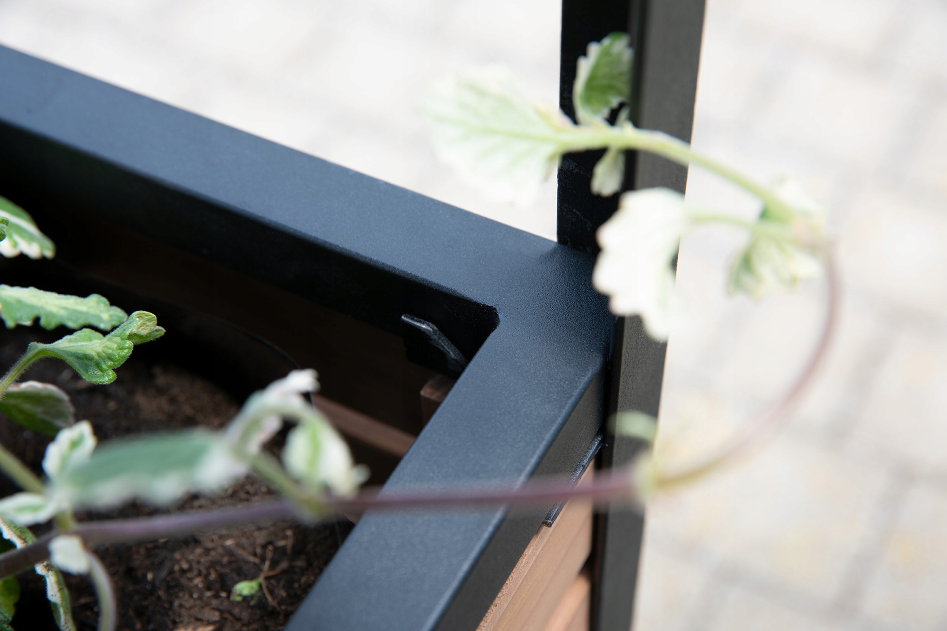 Regał/Rabata wysoka na rośliny L Długość (cm) 80