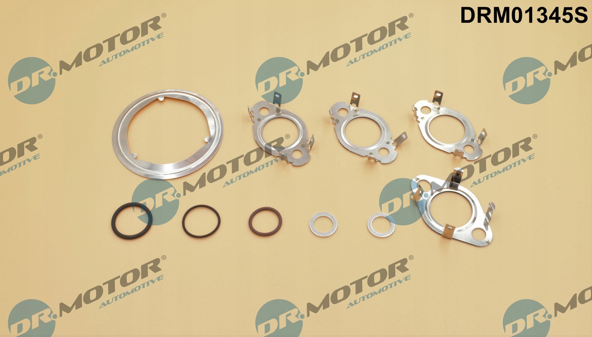 DR. MOTOR DRM01345S Комплект прокладок, система agr