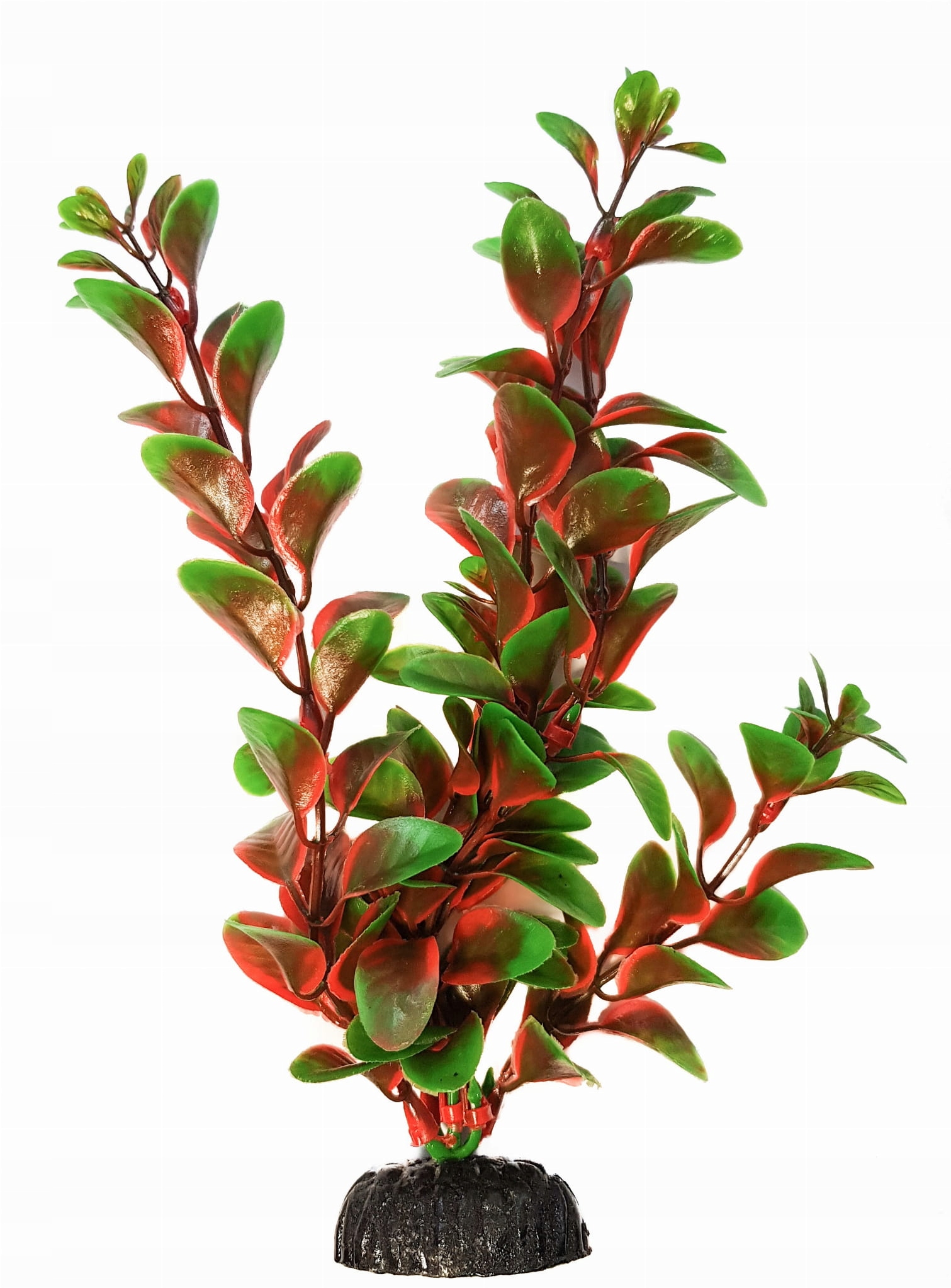 

Roślina akwariowa Ludwigia czerwono-zielona 10 cm