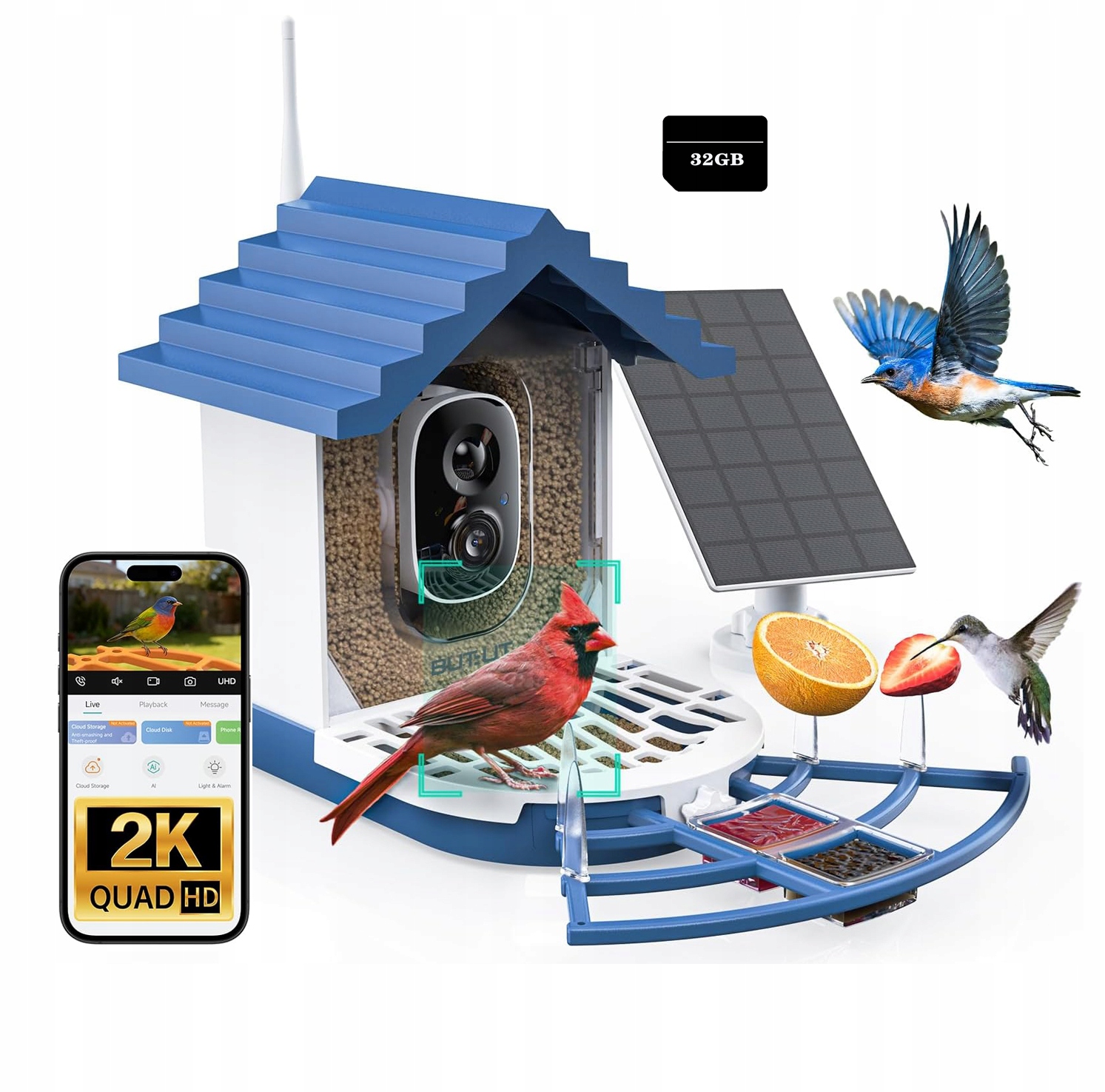 Krmítko pro ptáky s 2K kamerou identifikuje druhy ptáků pomocí 32GB karty
