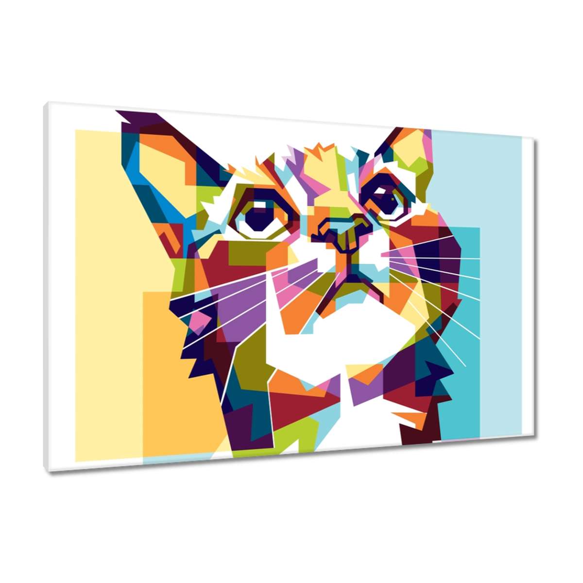 Obrazy 90x60 Kočička Kočky Kicia