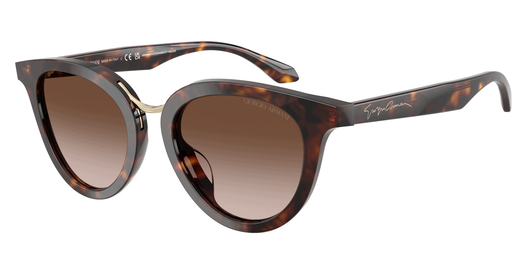 Sluneční brýle Giorgio Armani AR8252U Velikost 49