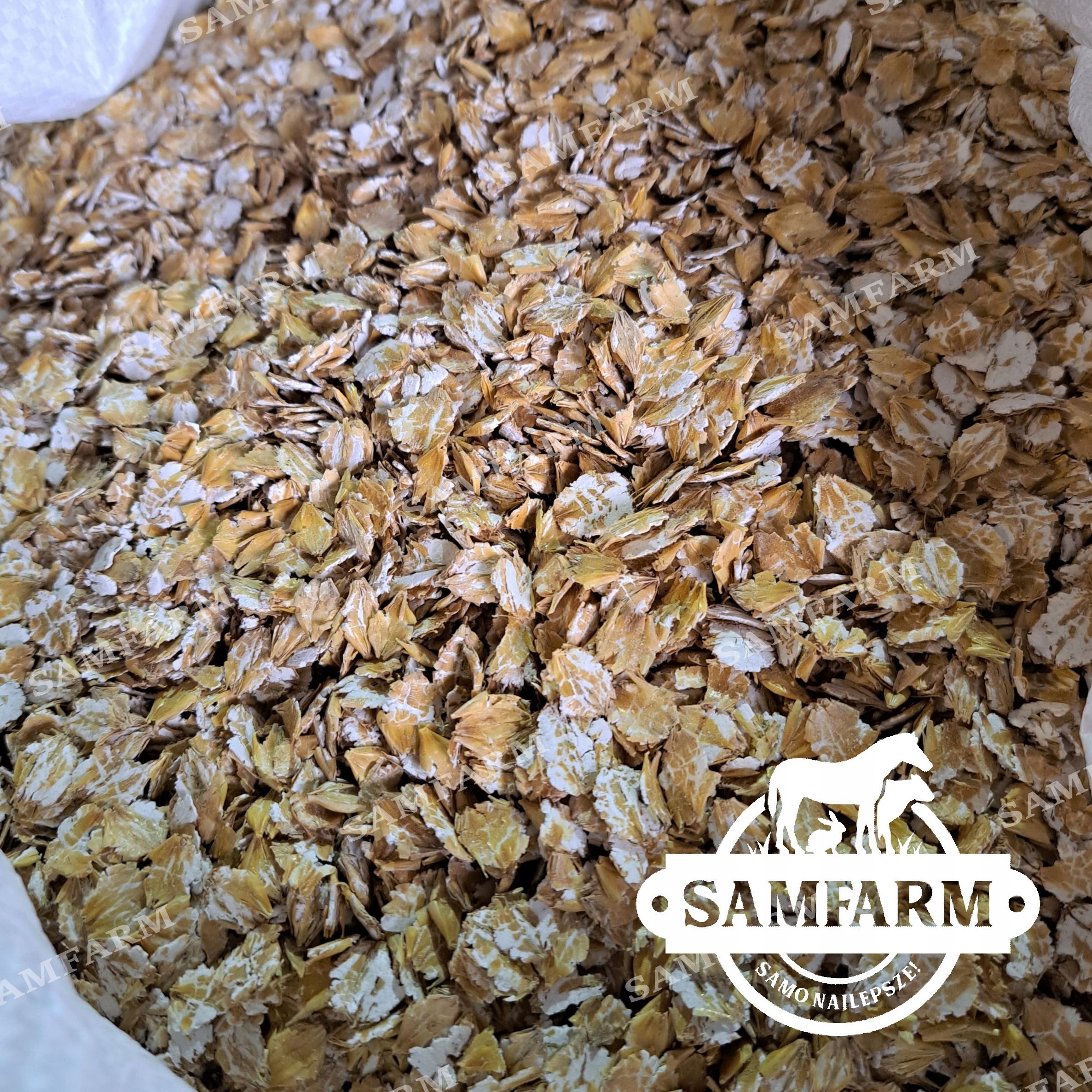 Sam - jęczmień gnieciony dla koni Rodzaj pasza